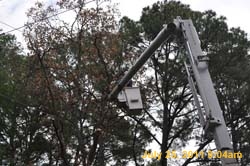 Entergy 030